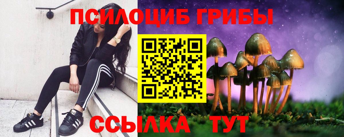 Галлюциногенные грибы GOLDEN TEACHER Краснознаменск