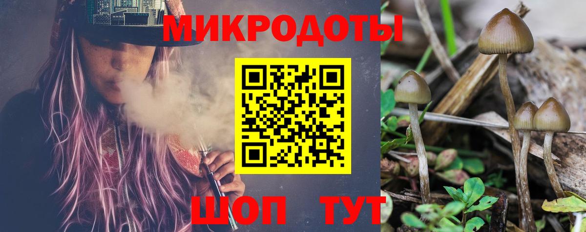 Краснознаменск  Галлюциногенные грибы прущие грибы  Вход с VPN 