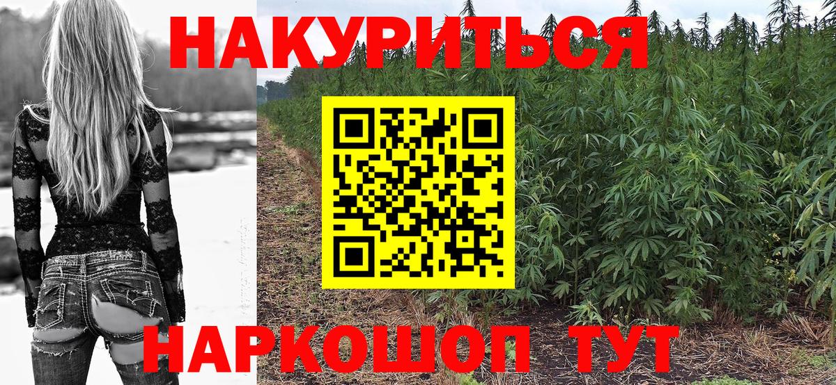 Канабис OG Kush Краснознаменск